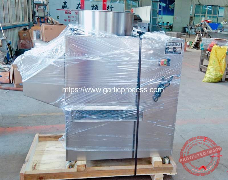 Garlic-Clove-Splitting-Machine-Delivery-for-Russia-Customer